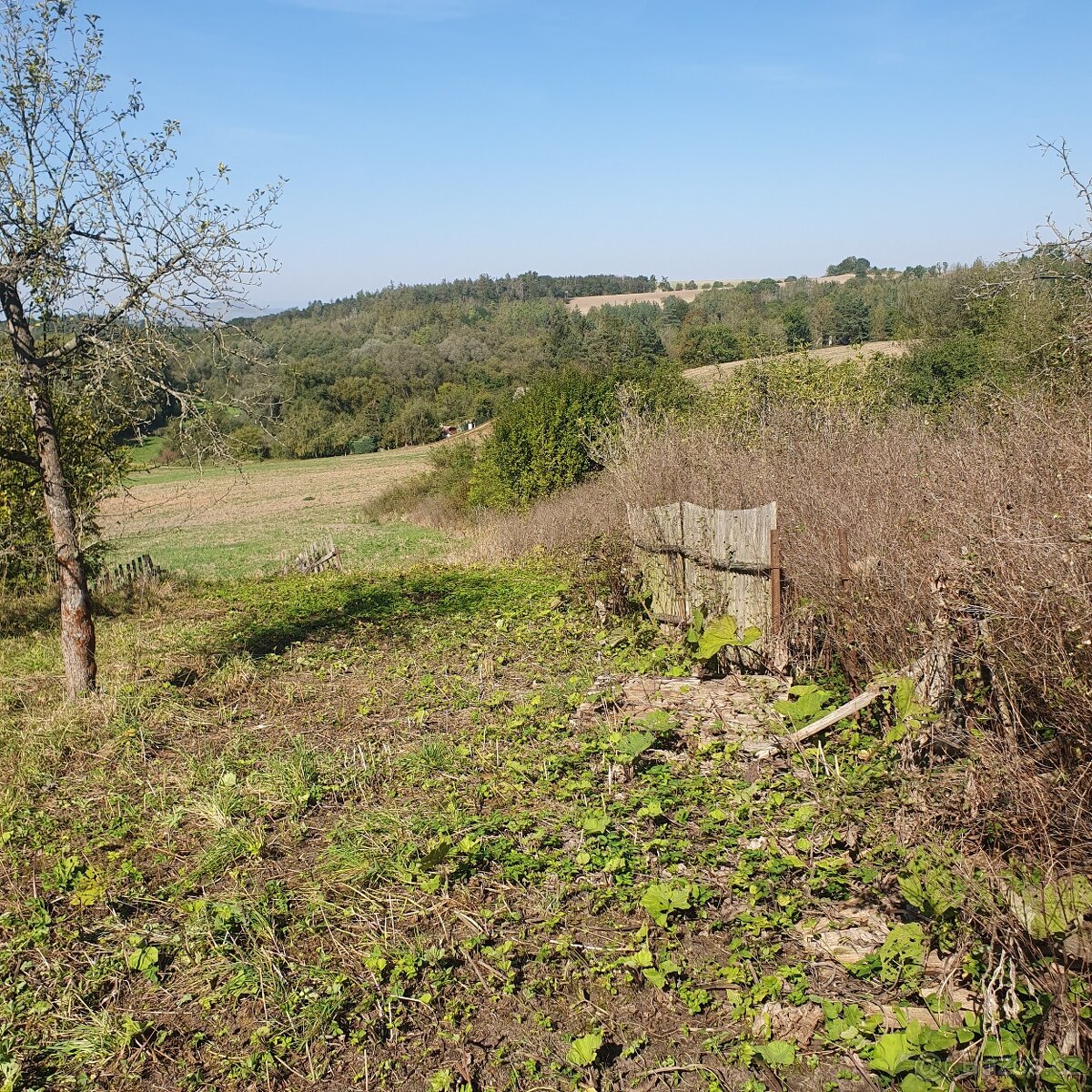 Prodám krásný pozemek za obcí Smolnice u Loun - 3