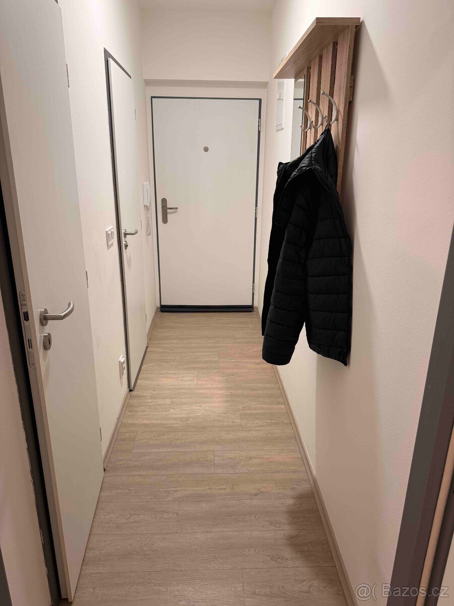 krátkodoby pronájem zařízený 1+kk Olomouc-Povel - 3