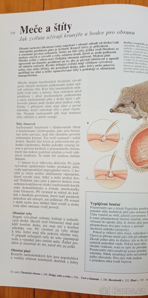 Tajemství přírody - 3