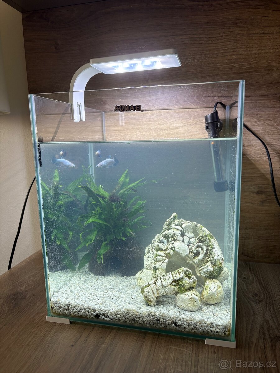 Akvárium i s rybami - 3