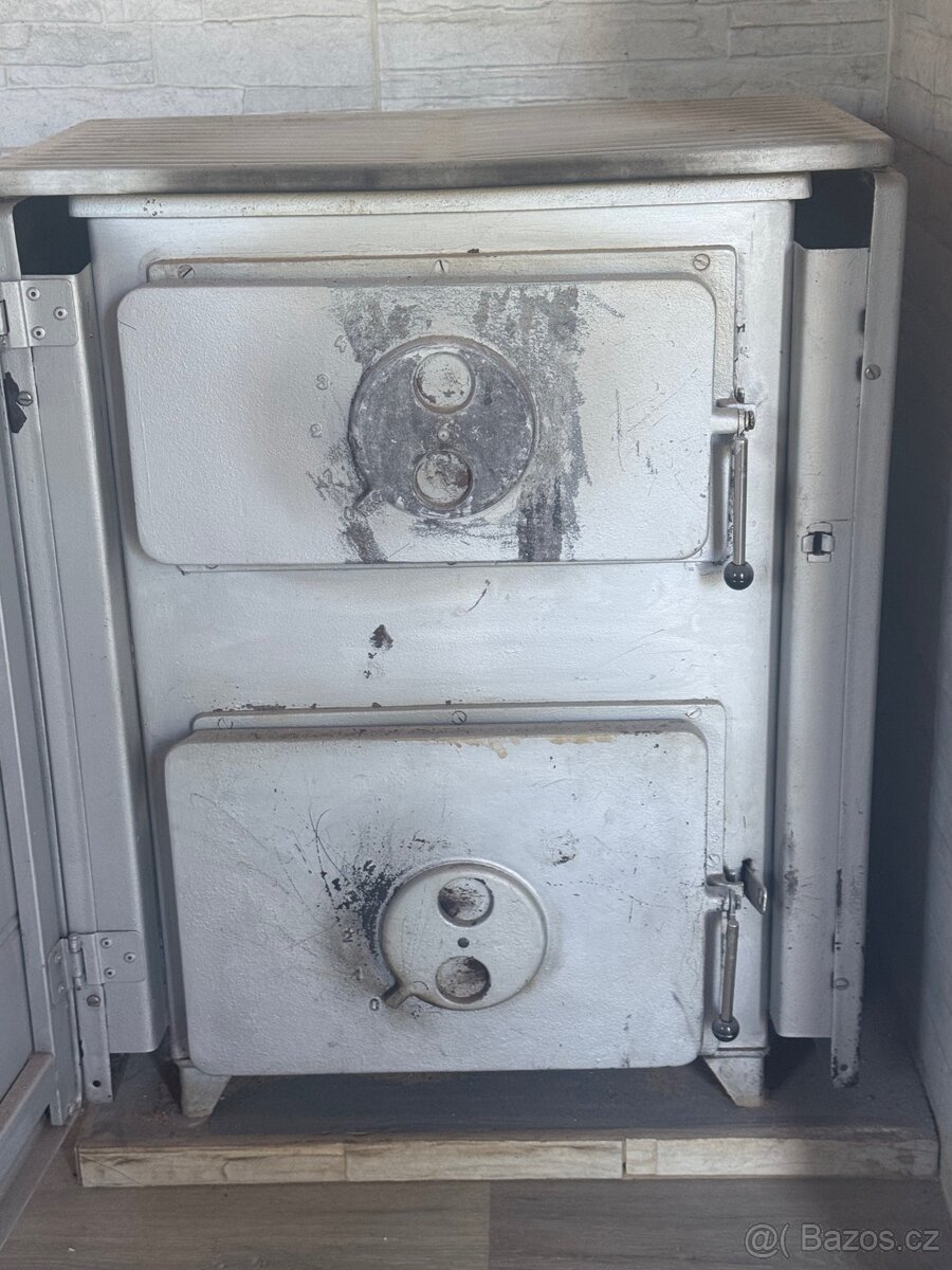 Kamna Thorma Filex - 3