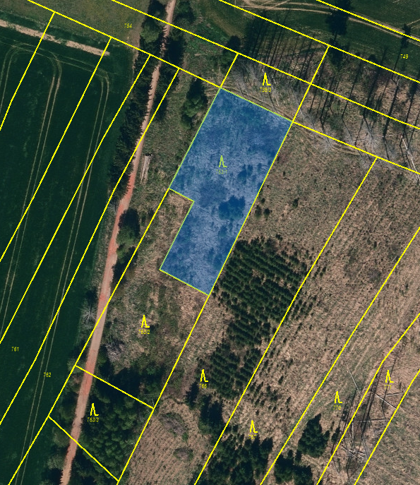 Prodej lesu 30 Kč/ m², Urbanov okr. Jihlava - 3