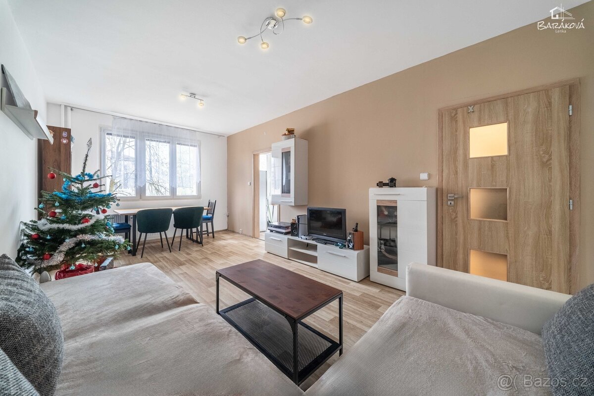 Prodej bytu, 60m2, Tichá ulice, Plzeň , Skvrňany - 3