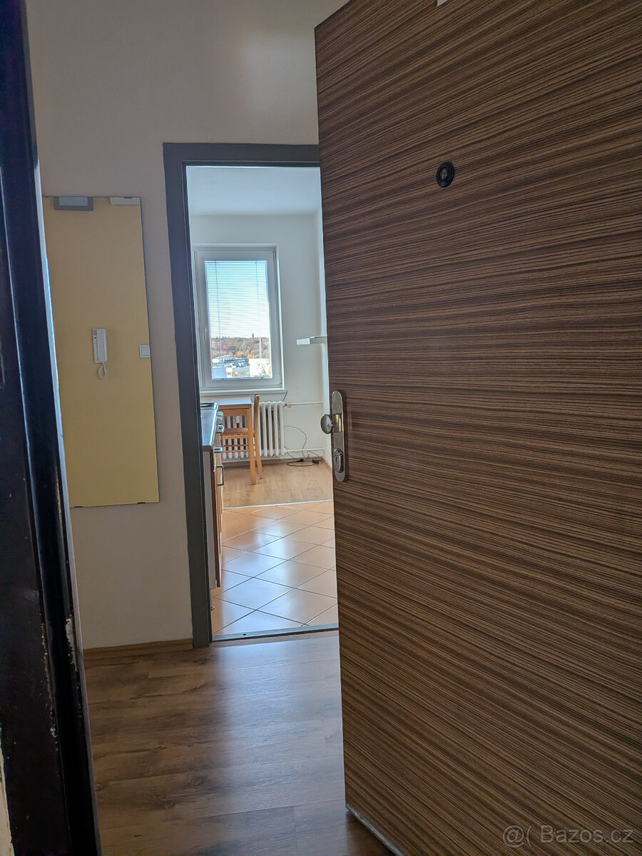 Byt 1+1 Ostrava-Poruba M. Krásové - 3