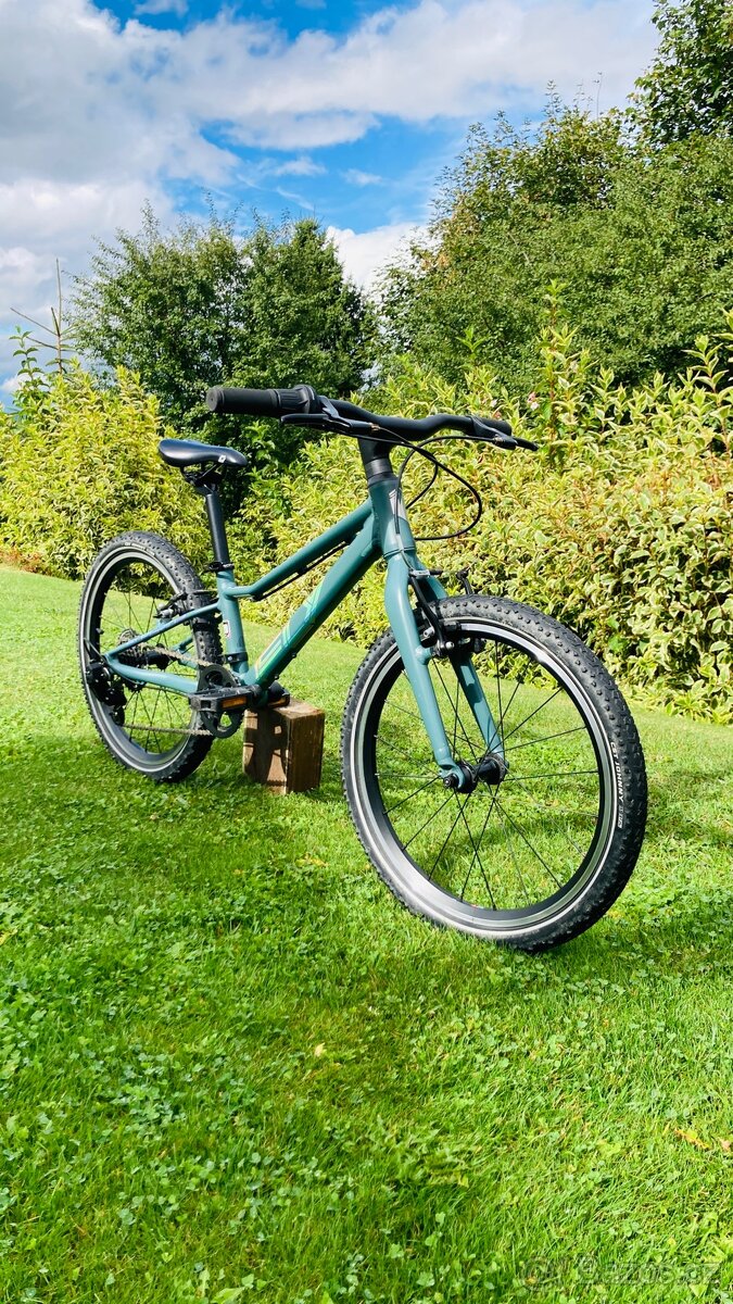 Detske kolo Superior F.L.Y. 20 - ZARUKA - 3