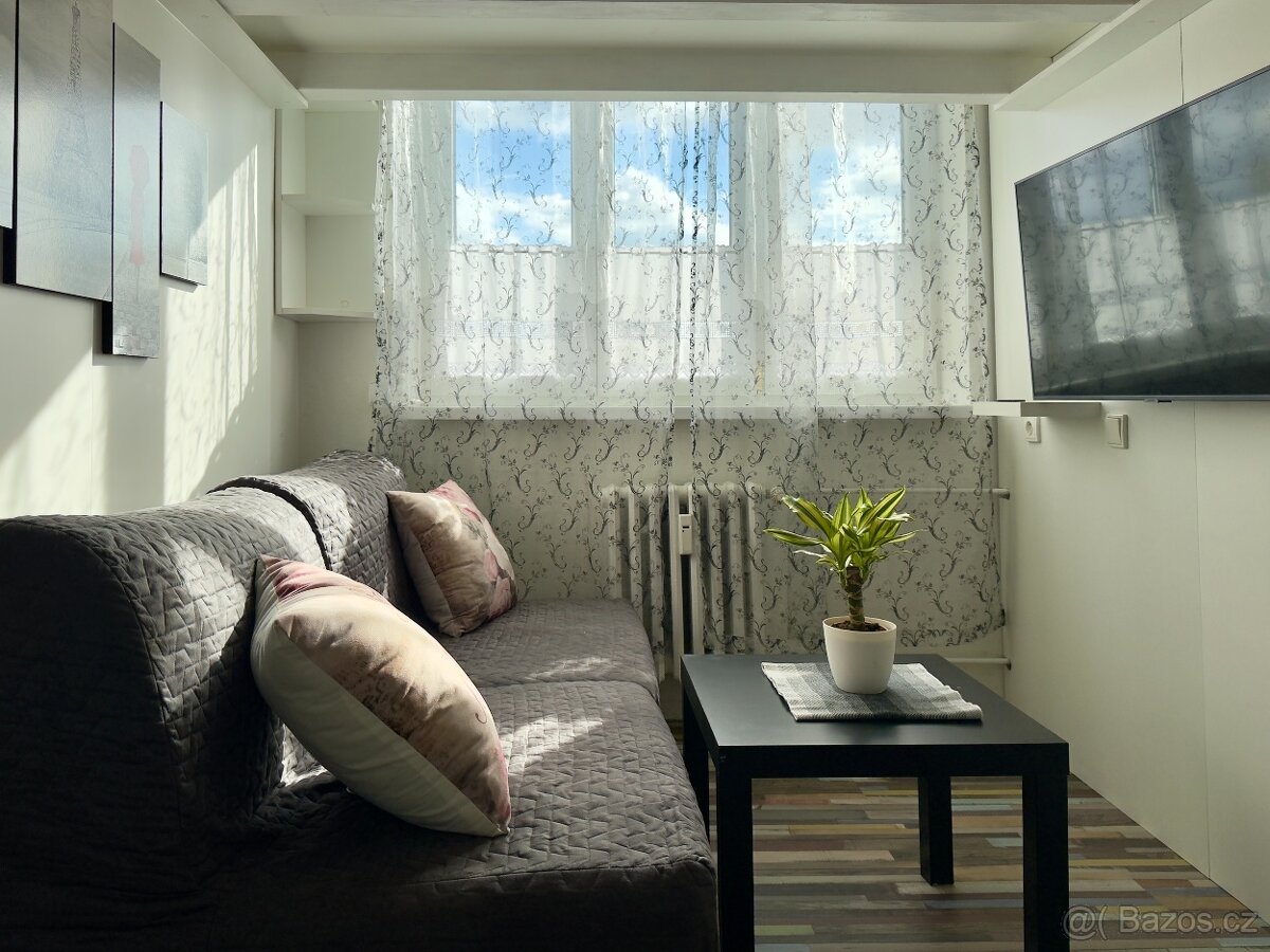 Prodej bytu o celkové ploše 30m2 v Hrušovanech u Brna - 3