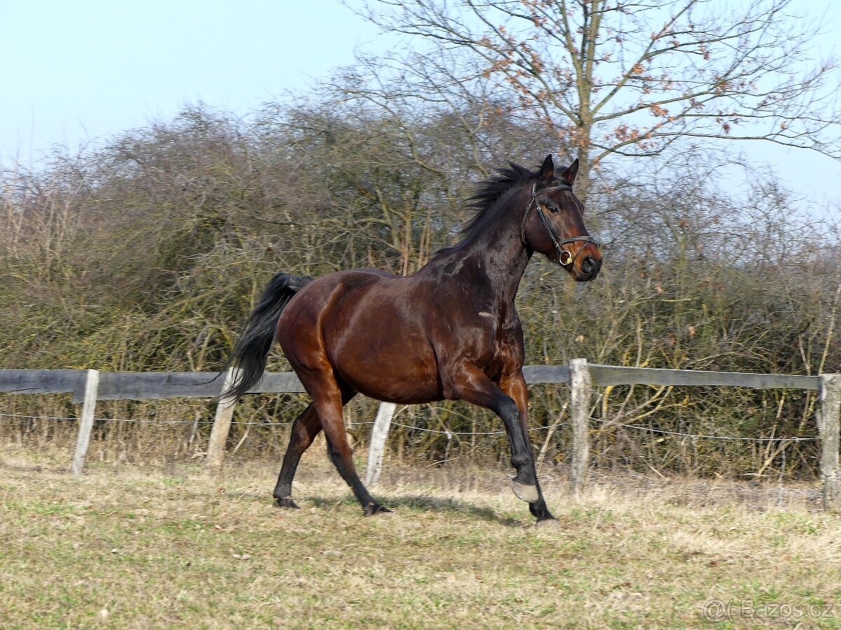 Parťák pro jednoho jezdce - 3