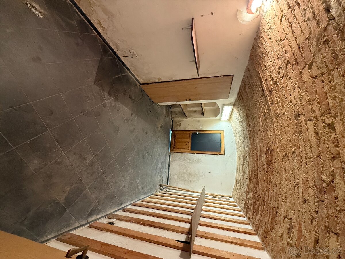 Pronájem nebytového prostoru - 3