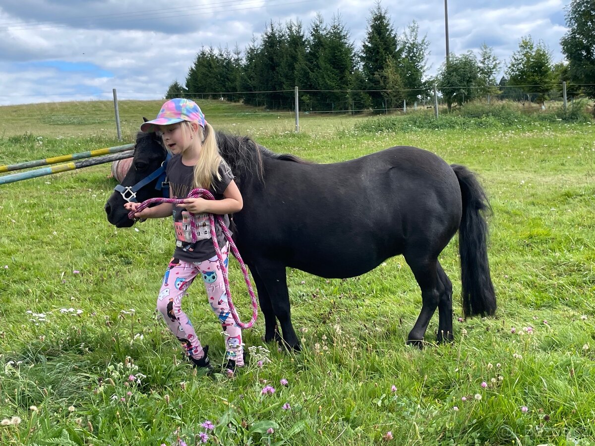 Docházku k mini-pony klisně - 3