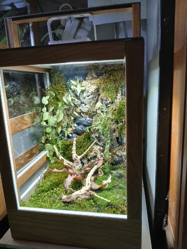 terárium - 3