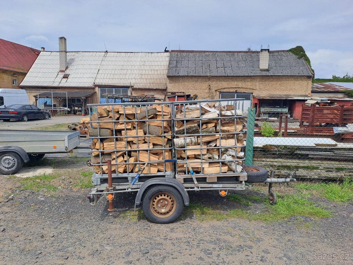 Tvrdé dřevo, briza - 3