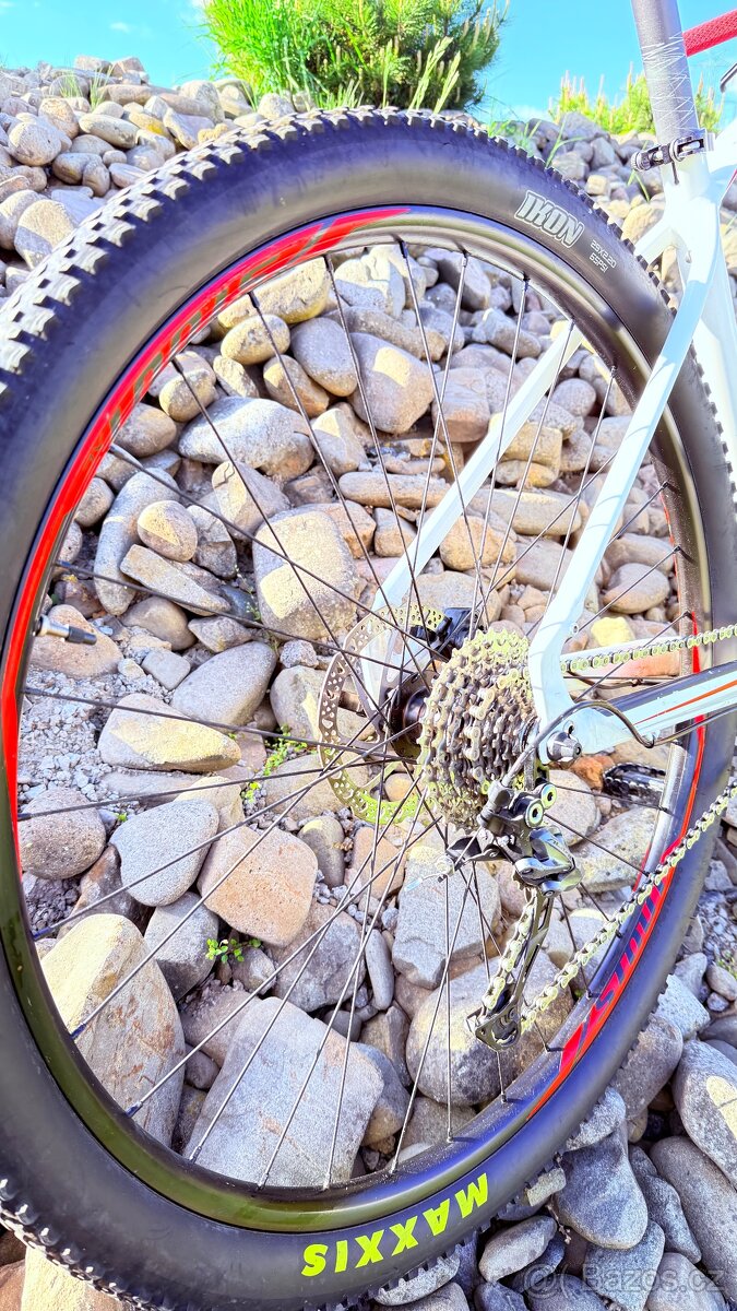 Specialized Rockhopper 29 - 3