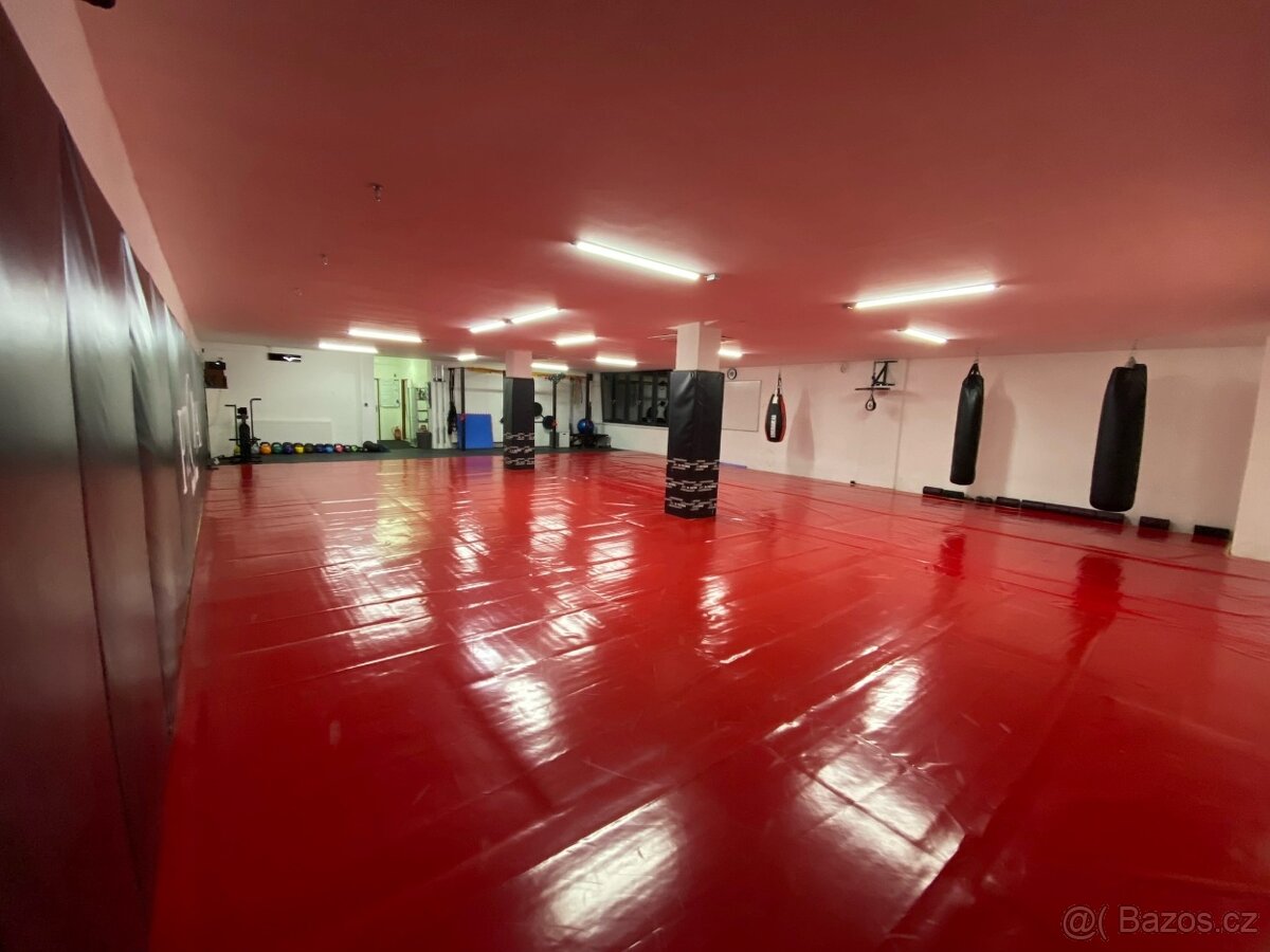 Pronájem vybaveného gymu - 3