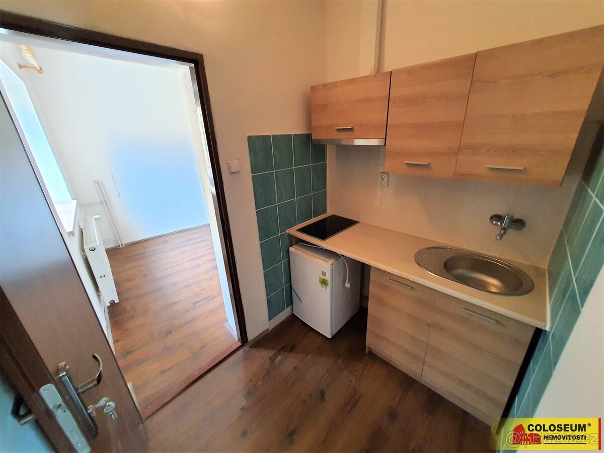 Studnice ( okr.Vyškov , pronájem studia 1+kk, 19 m2 - byt - 3