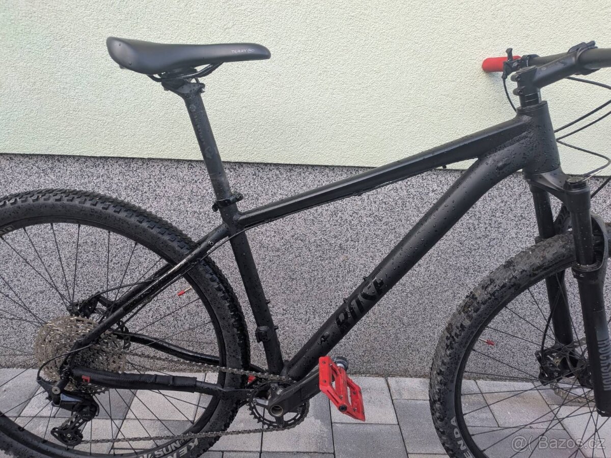 Rose Count solo 3 - 3