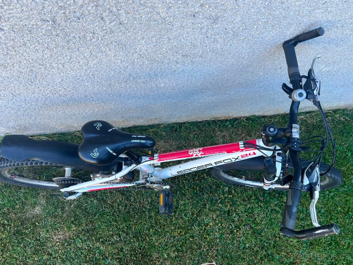 Leader Fox Spider - 3