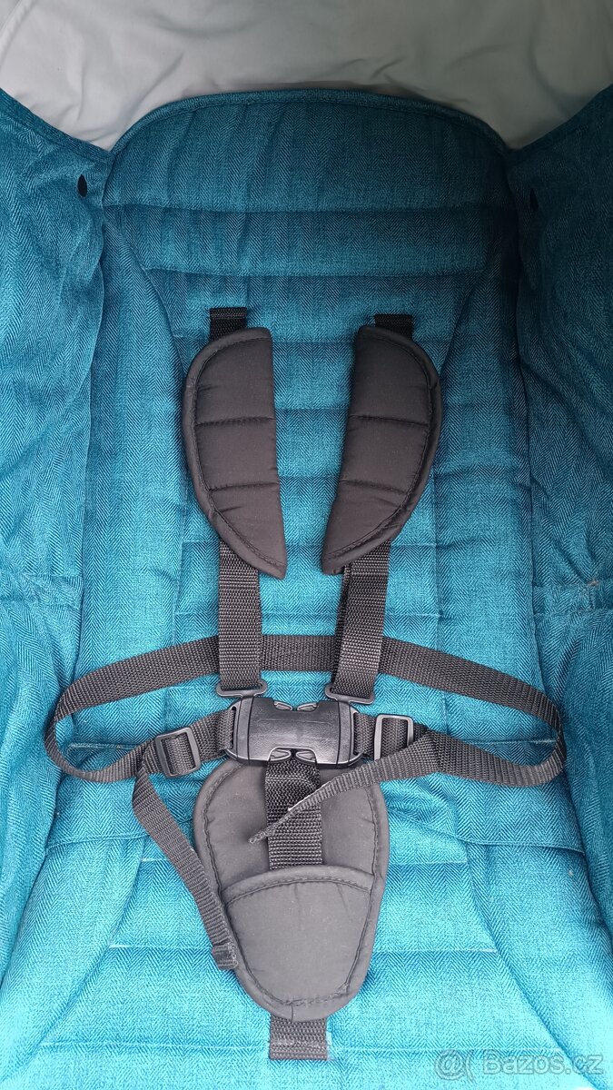 Oyster zero Peacock - 3