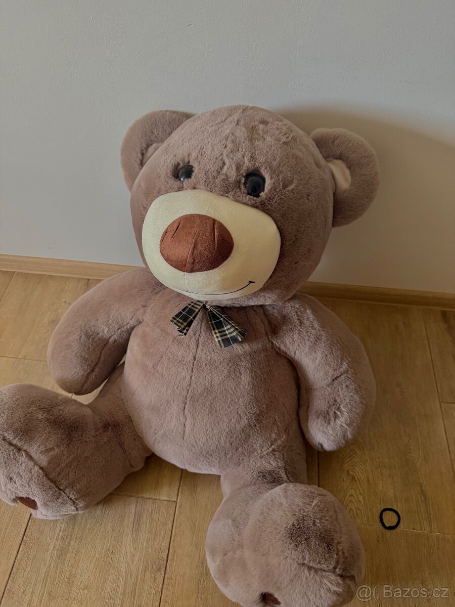 Prodám velkého medvěda🐻 - 3
