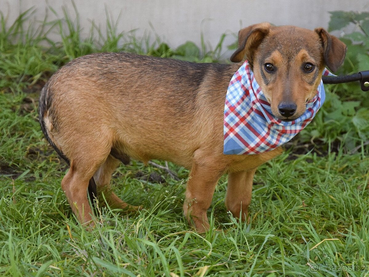 Jeremy hledá domov - 3