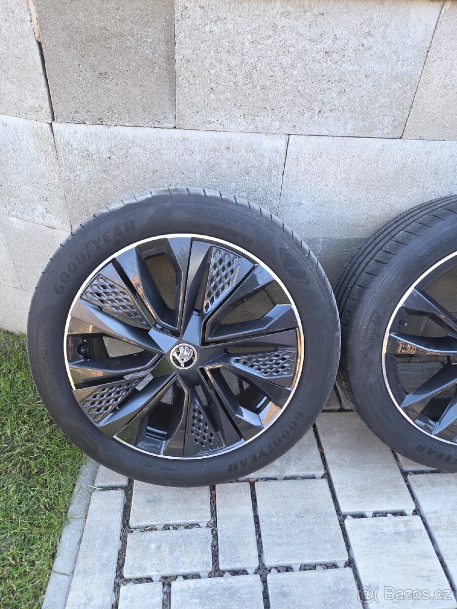 Procyon r18 - 3