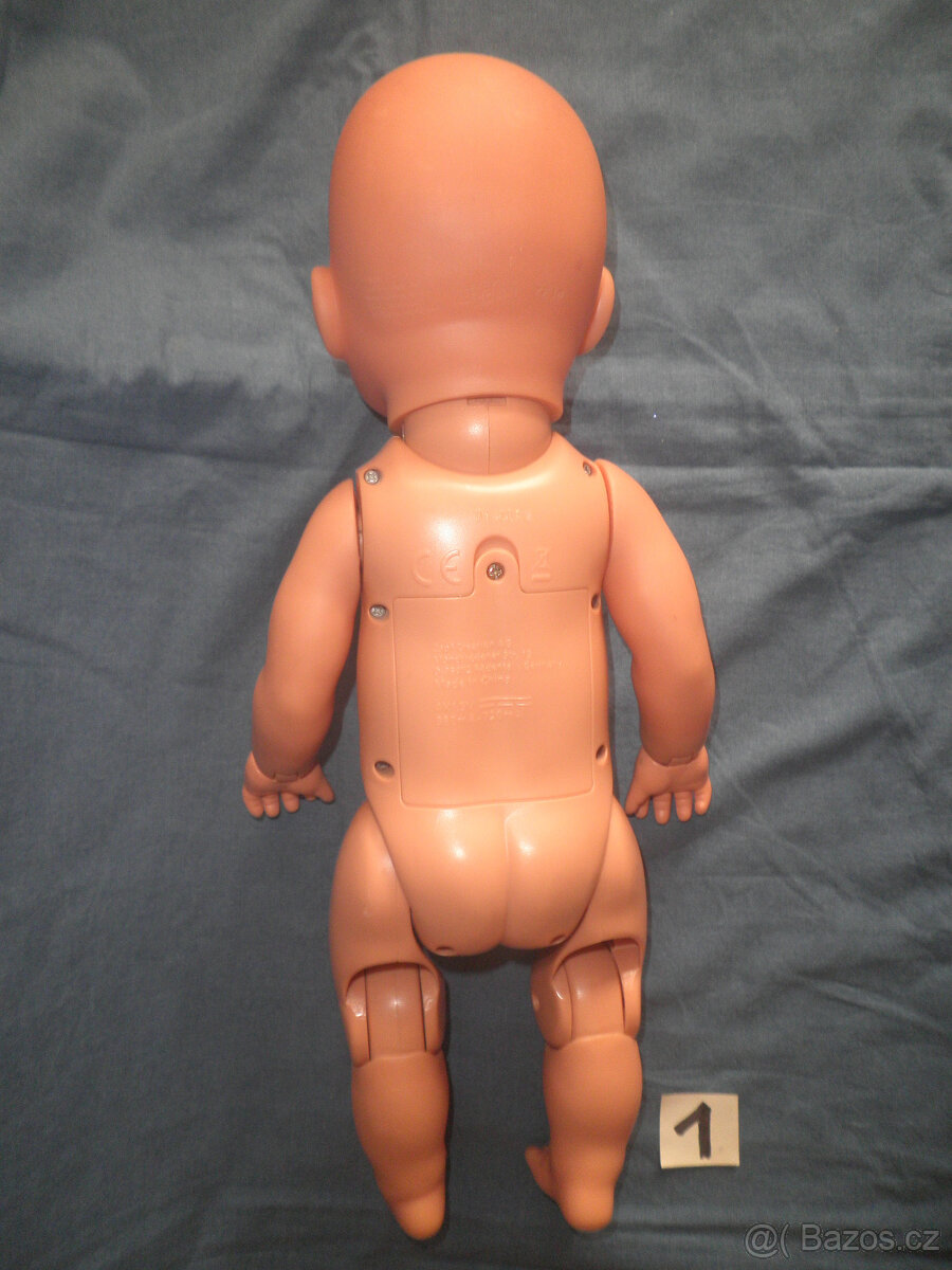 Panenka kloubová velká - 3