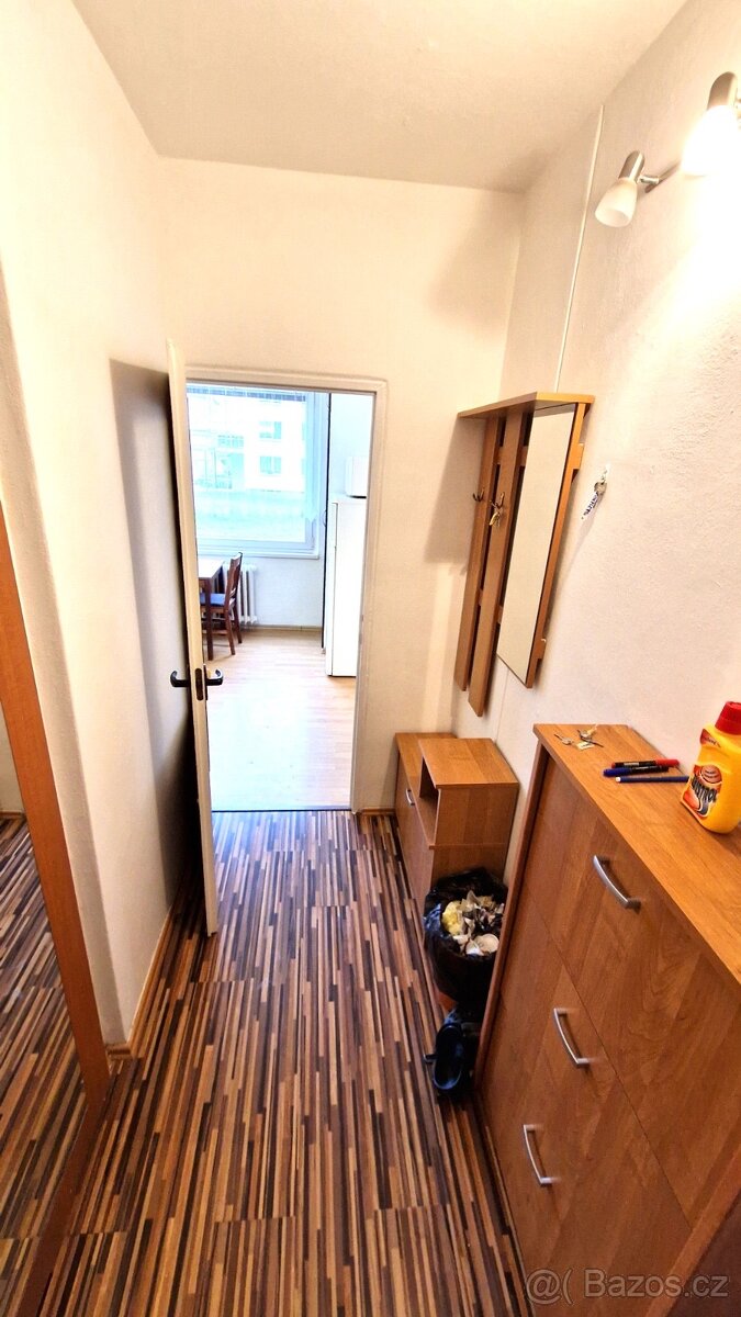 Pronájem - 3