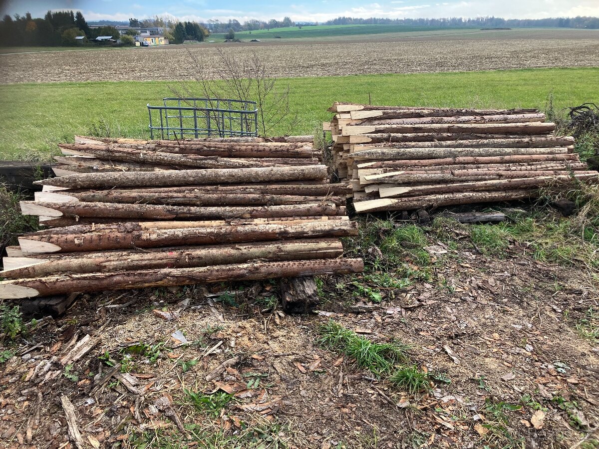 Prodám dřevěné kůly - 3