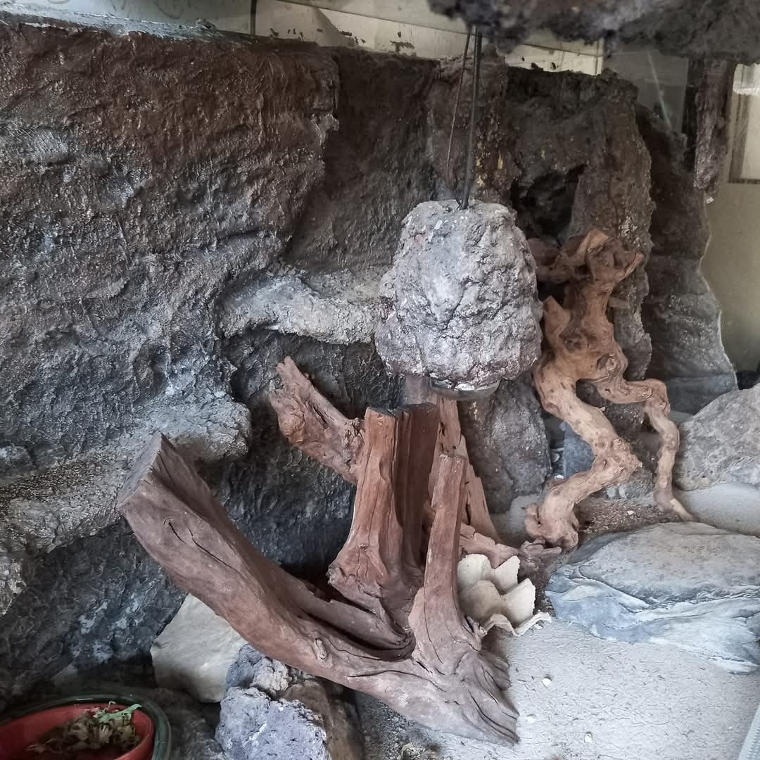 Terárium profi výrobek - 3