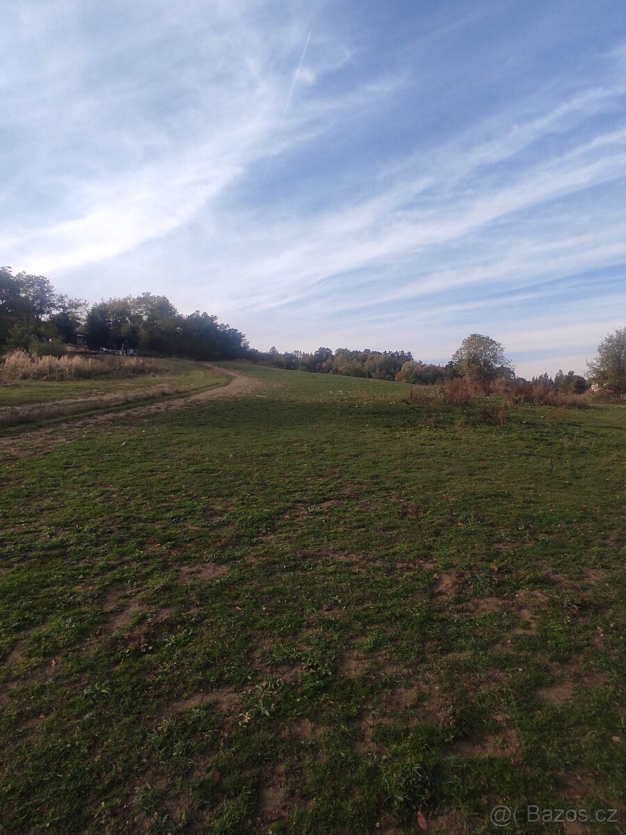 Pronajmu louku - pastvinu 10000 m2 - 3