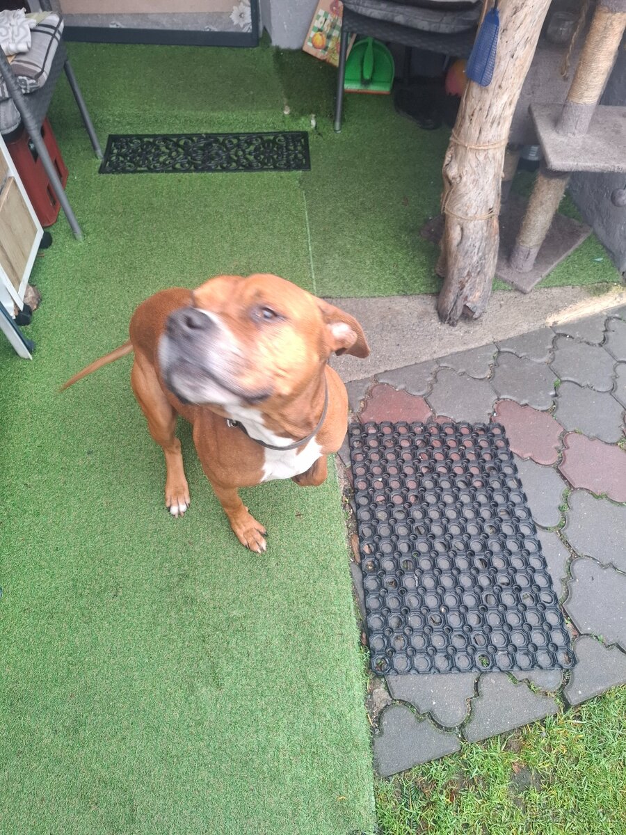 Daruji do dobrých rukou - 3