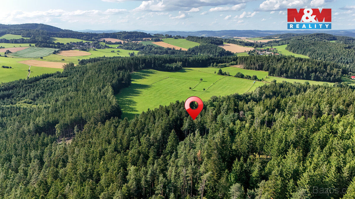 Prodej lesa, 15707 m², Petrovice u Sušice - 3