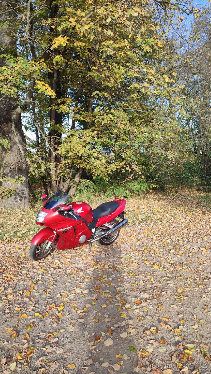 Honda CBR 1100 XX - 3