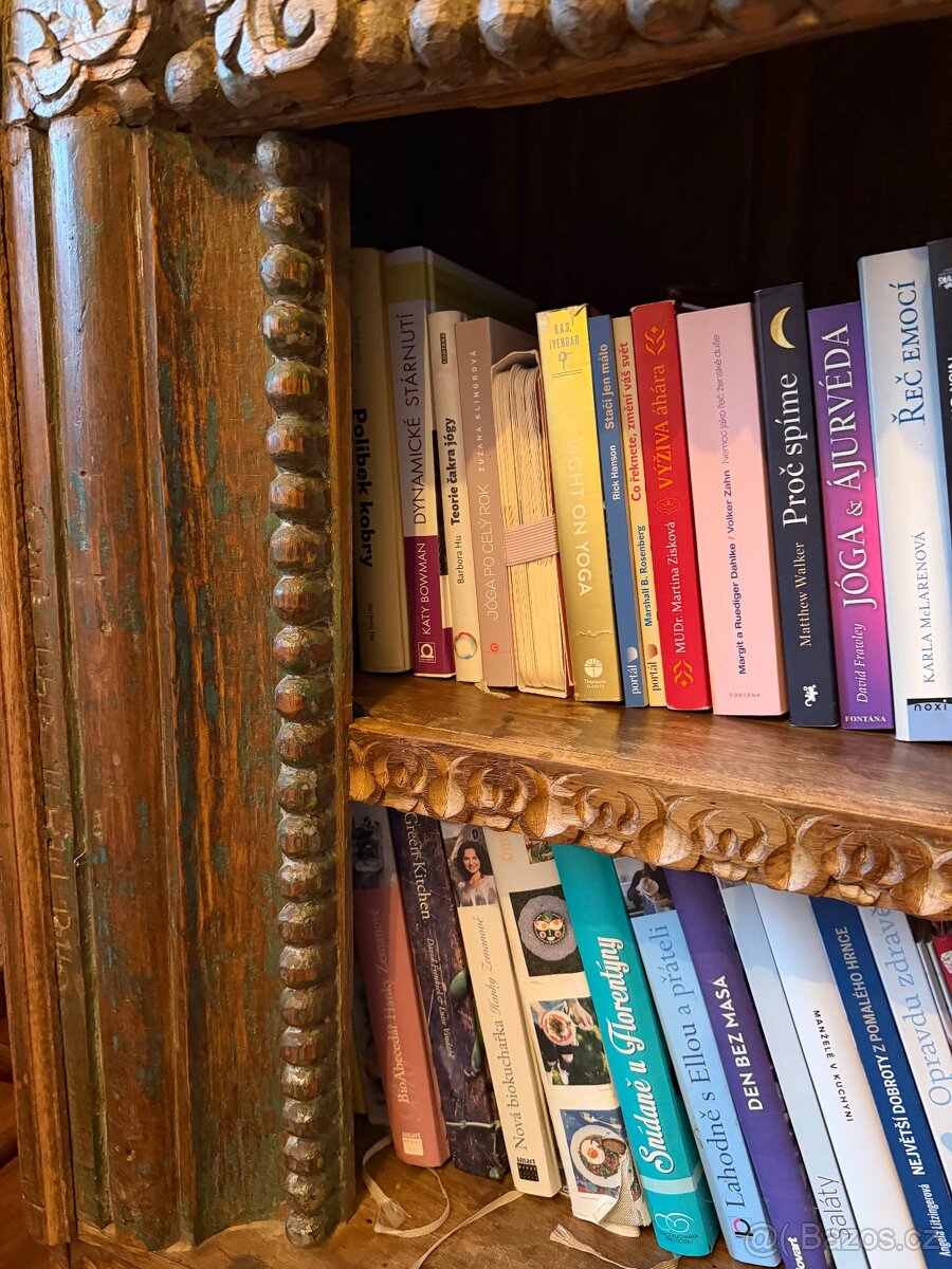 Starožitná knihovna - 3