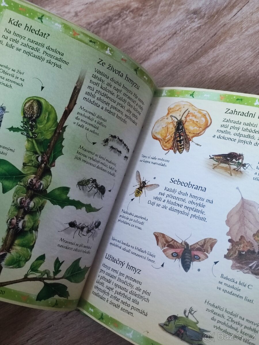 Dětská kniha Objevuj Život na zahradě - 3