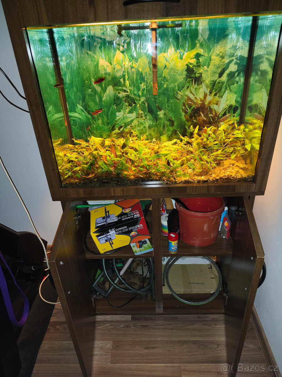 Akvarium - 3