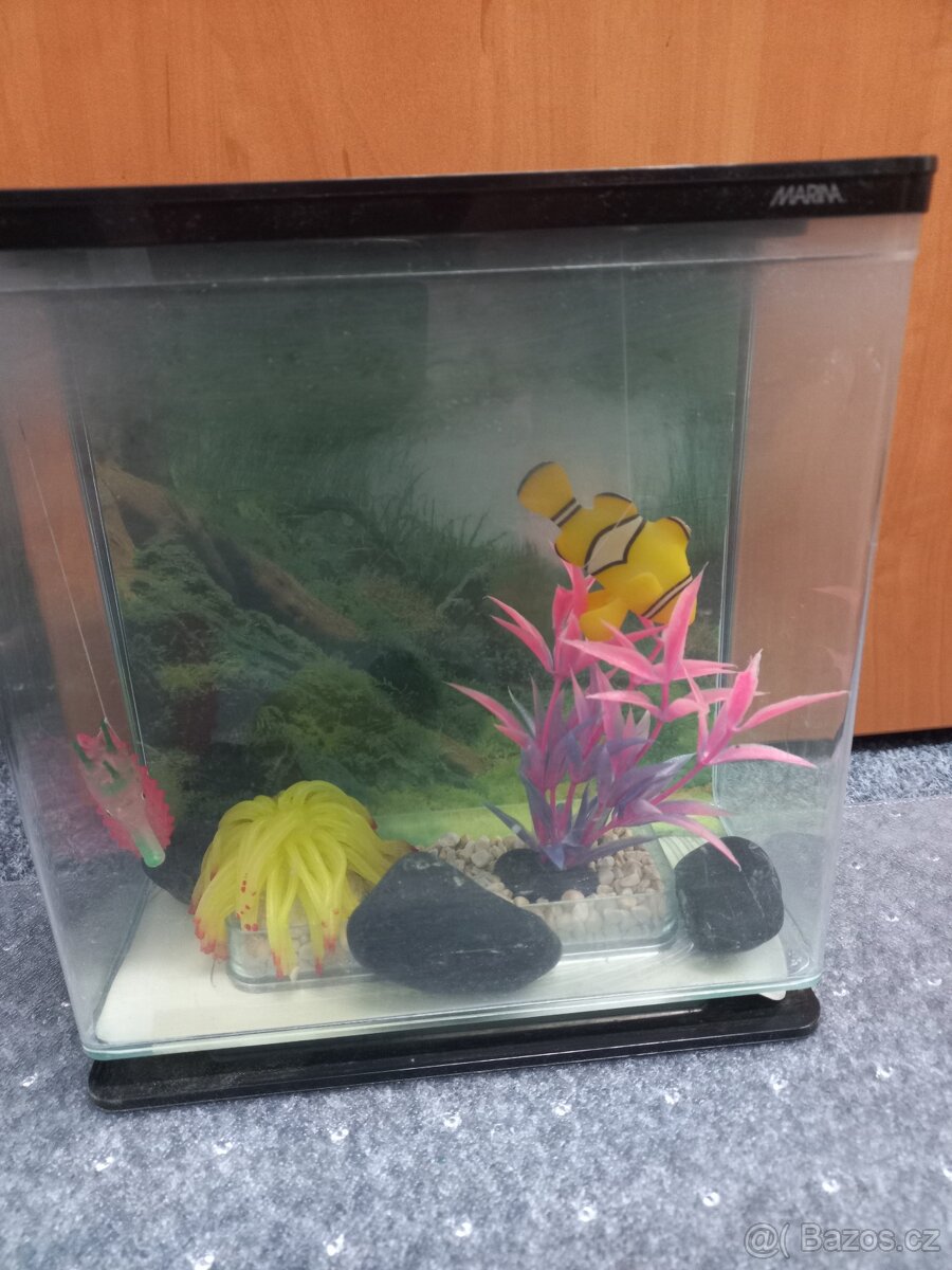 Akvárium MARINA Betta Kit Zen 3l - 3
