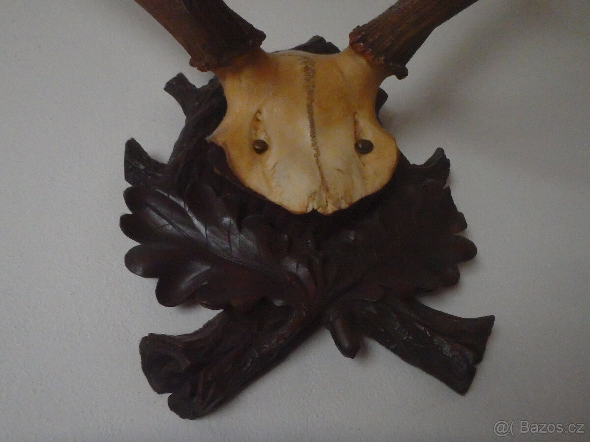 2x JELENÍ PAROHY - 3