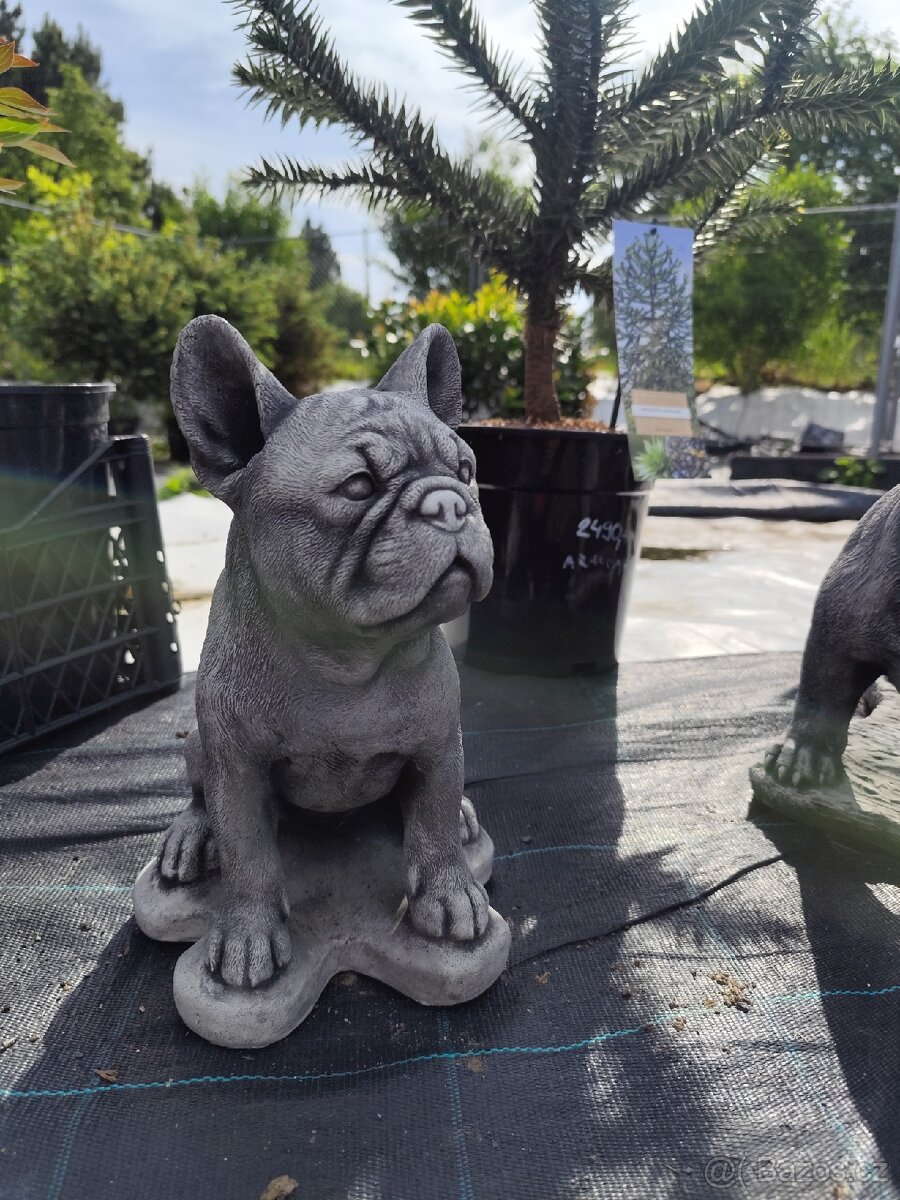 Socha buldok velký malý - 3