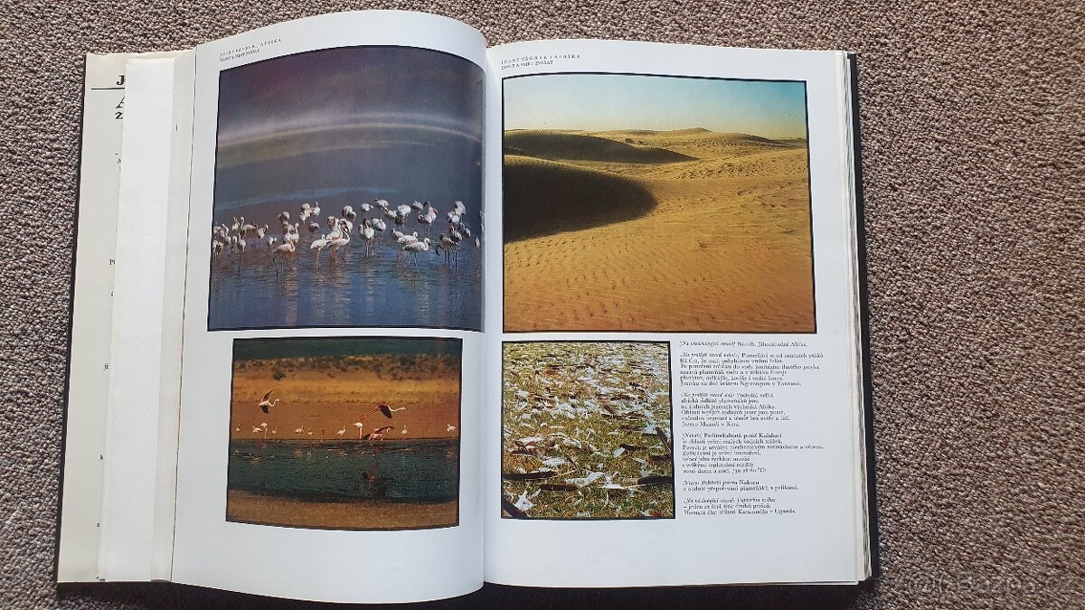 AFRIKA - ŽIVOT A SMRT ZVÍŘAT - Josef Vágner - 3