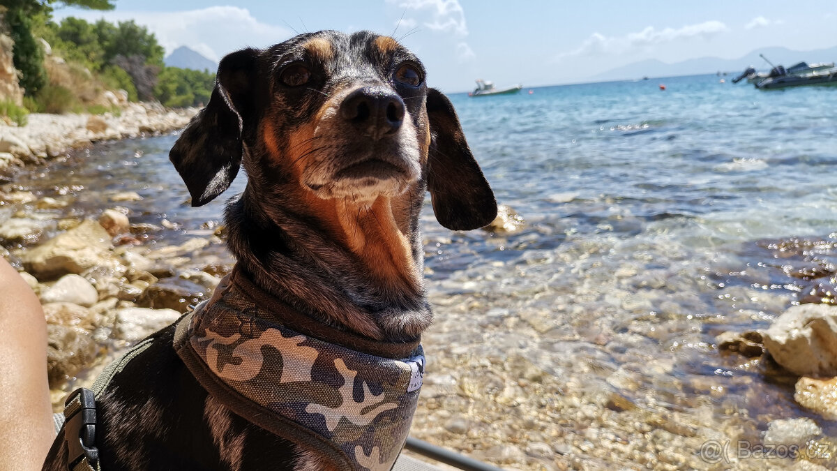 Hledám nevěstu - 3