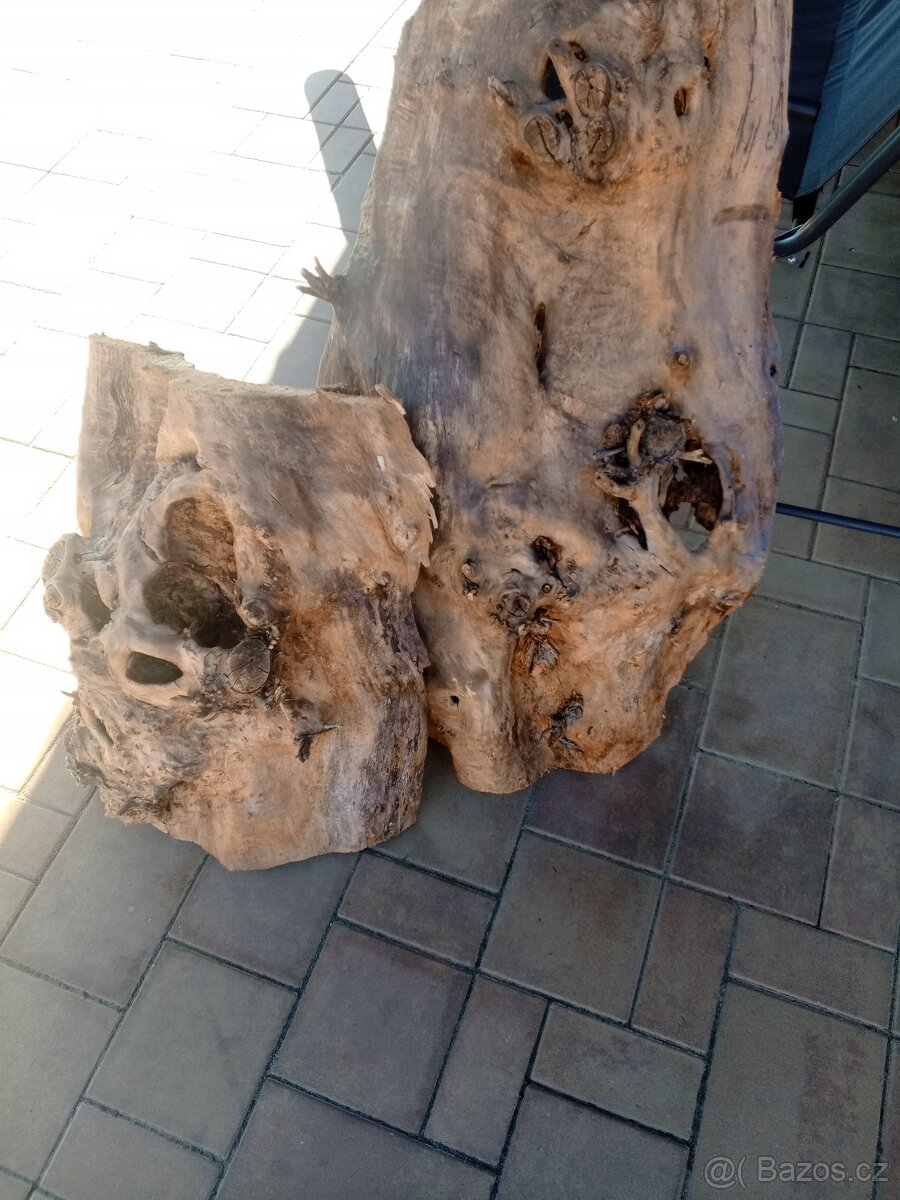 Topolové skořepiny - 3