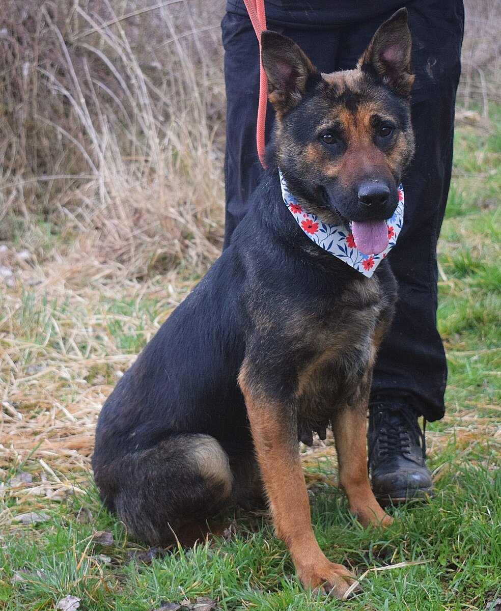 Frederika – hledá milující domov - 3