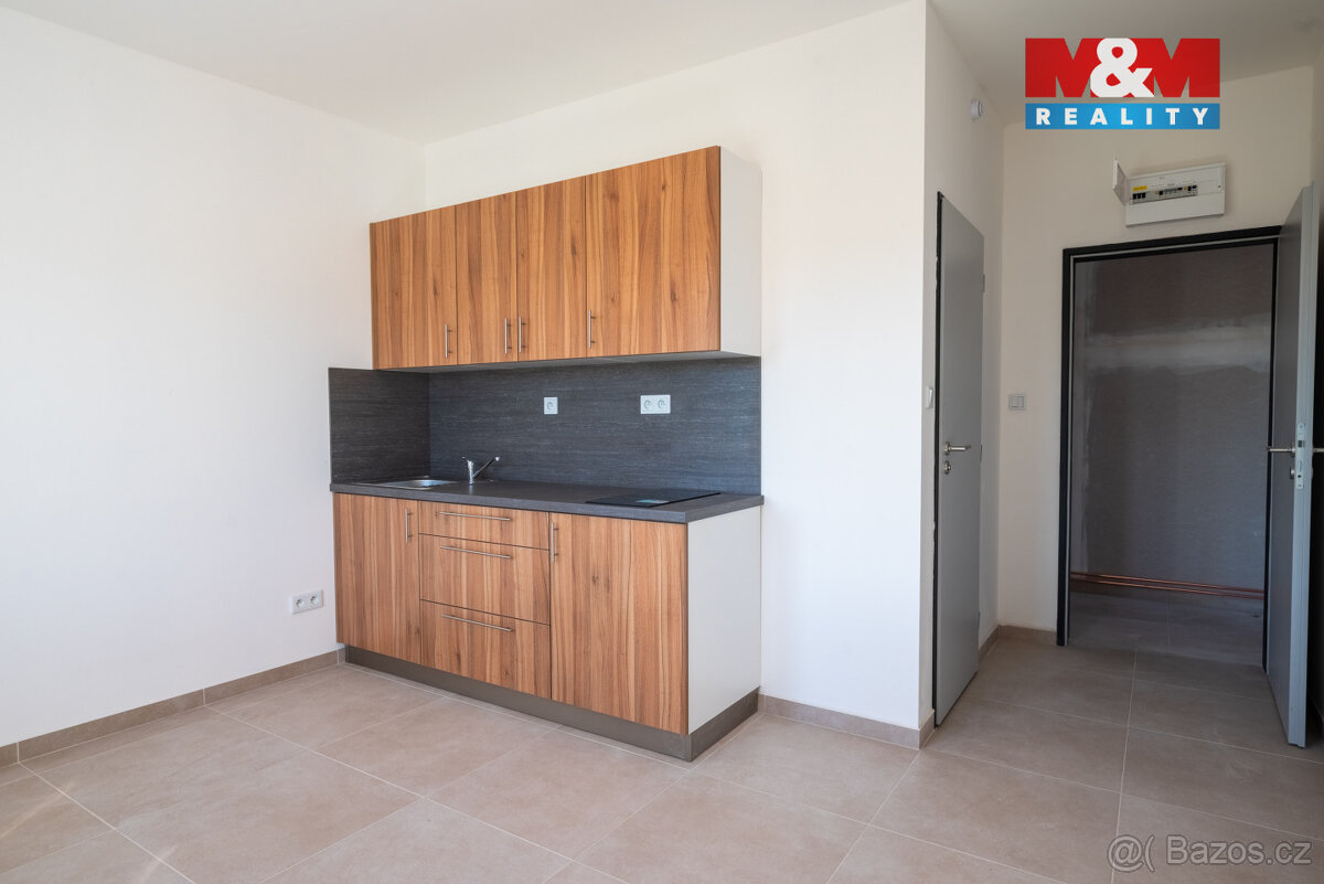 Pronájem 12 bytů 1+kk, 18 m², Radošovice u Strakonic - 3