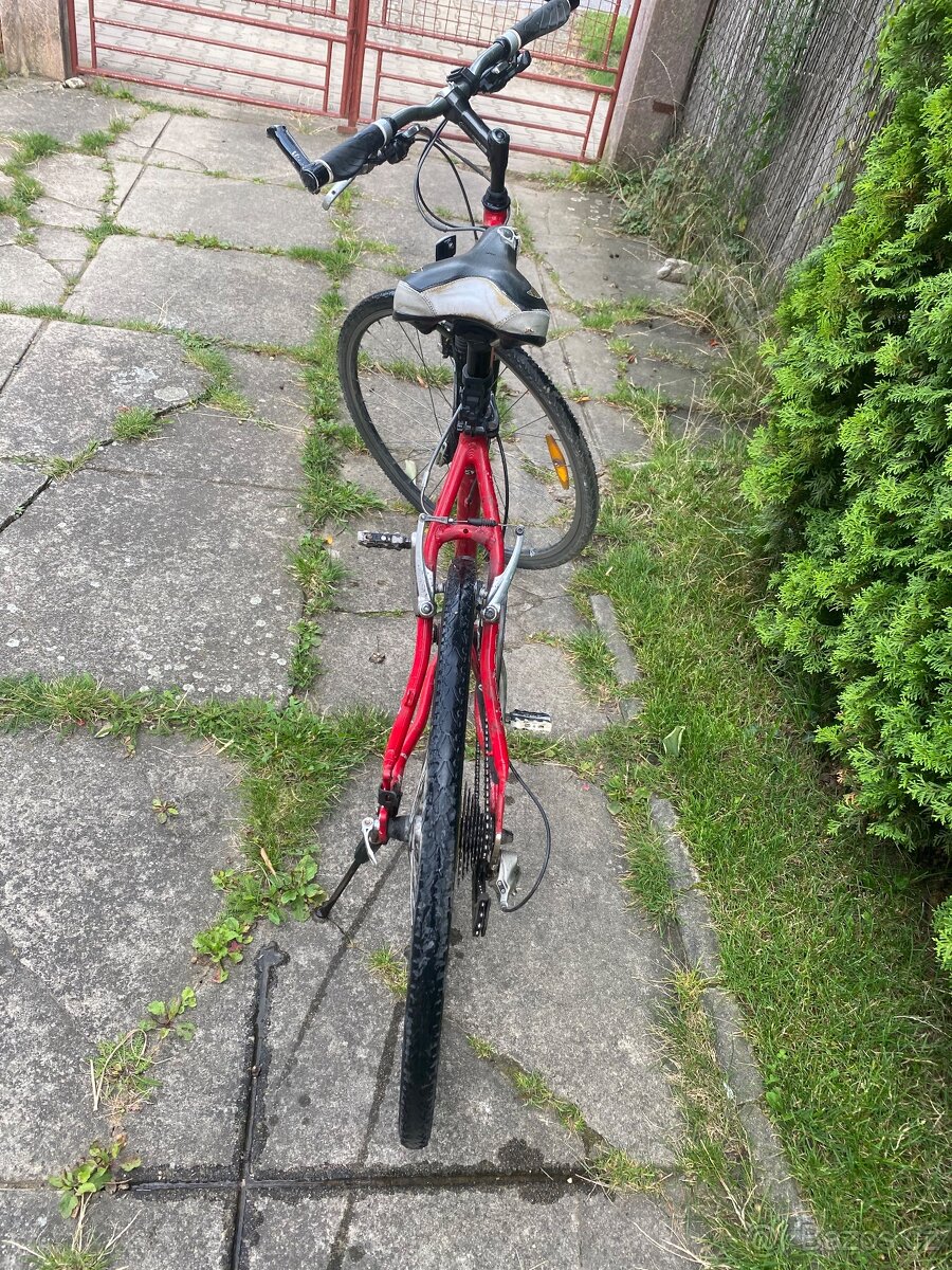 Pánské kolo Author - 3