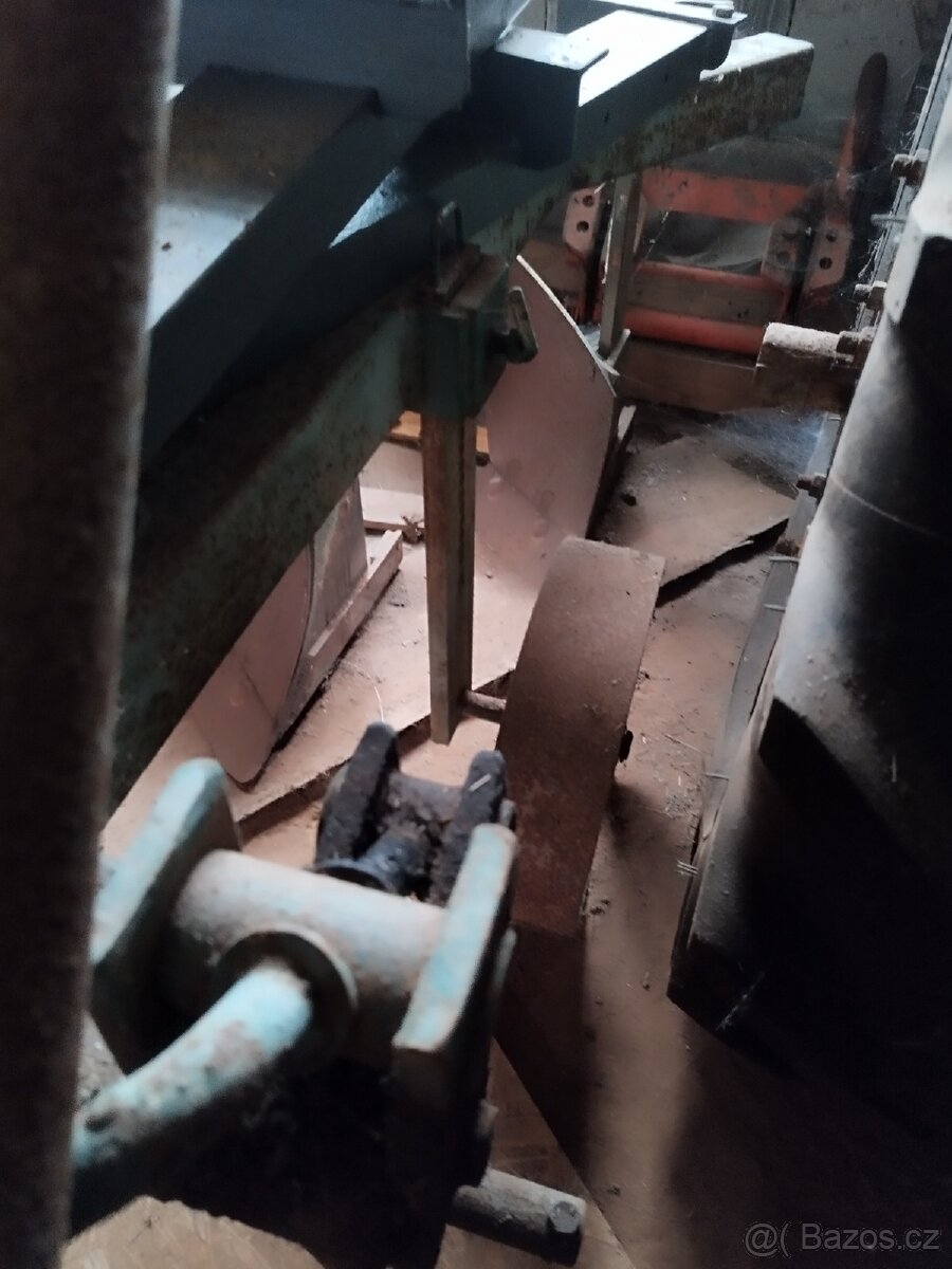 Pluh tříradličný - 3