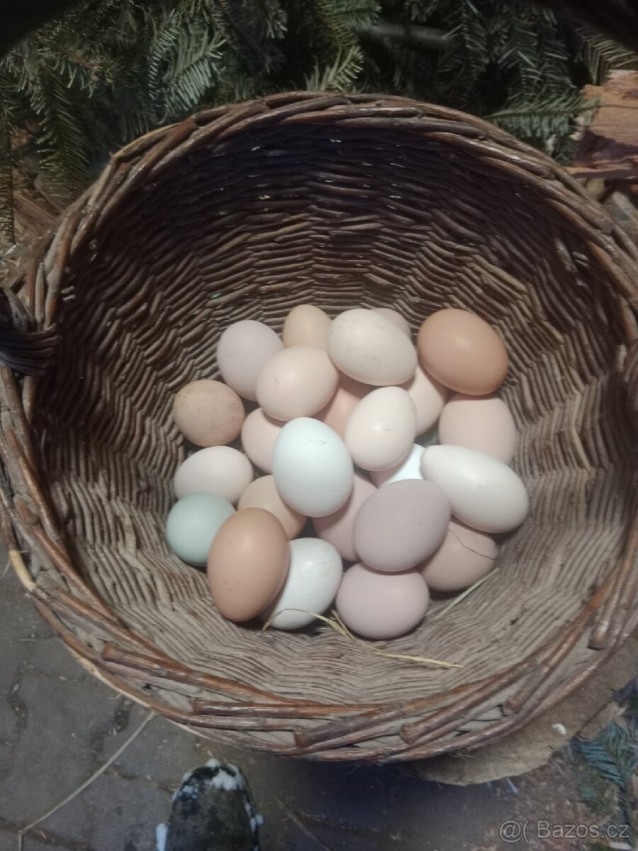 Domácí vajíčka - 3