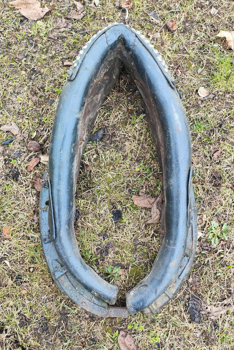 Chomout kravský - 3