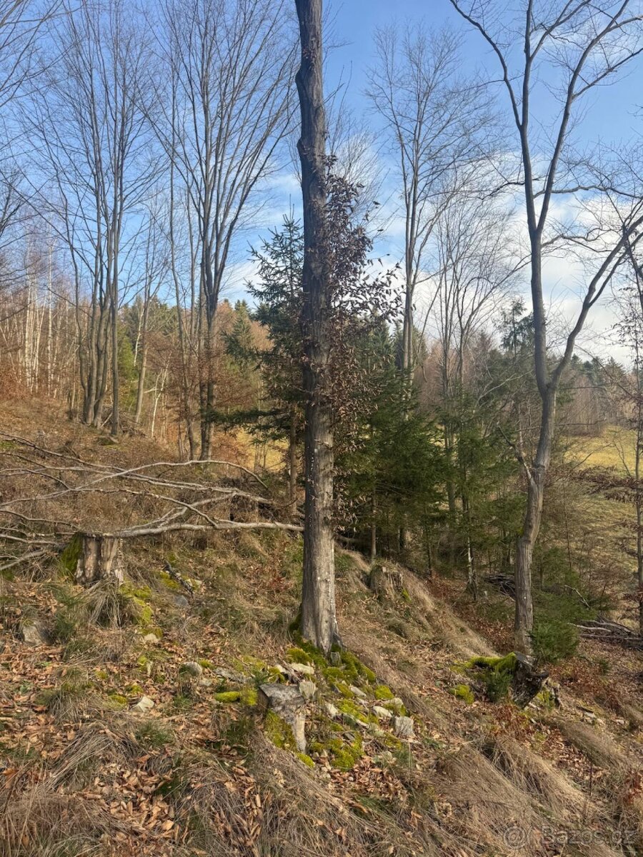 Prodej pozemků k.ú. Huslenky - 3