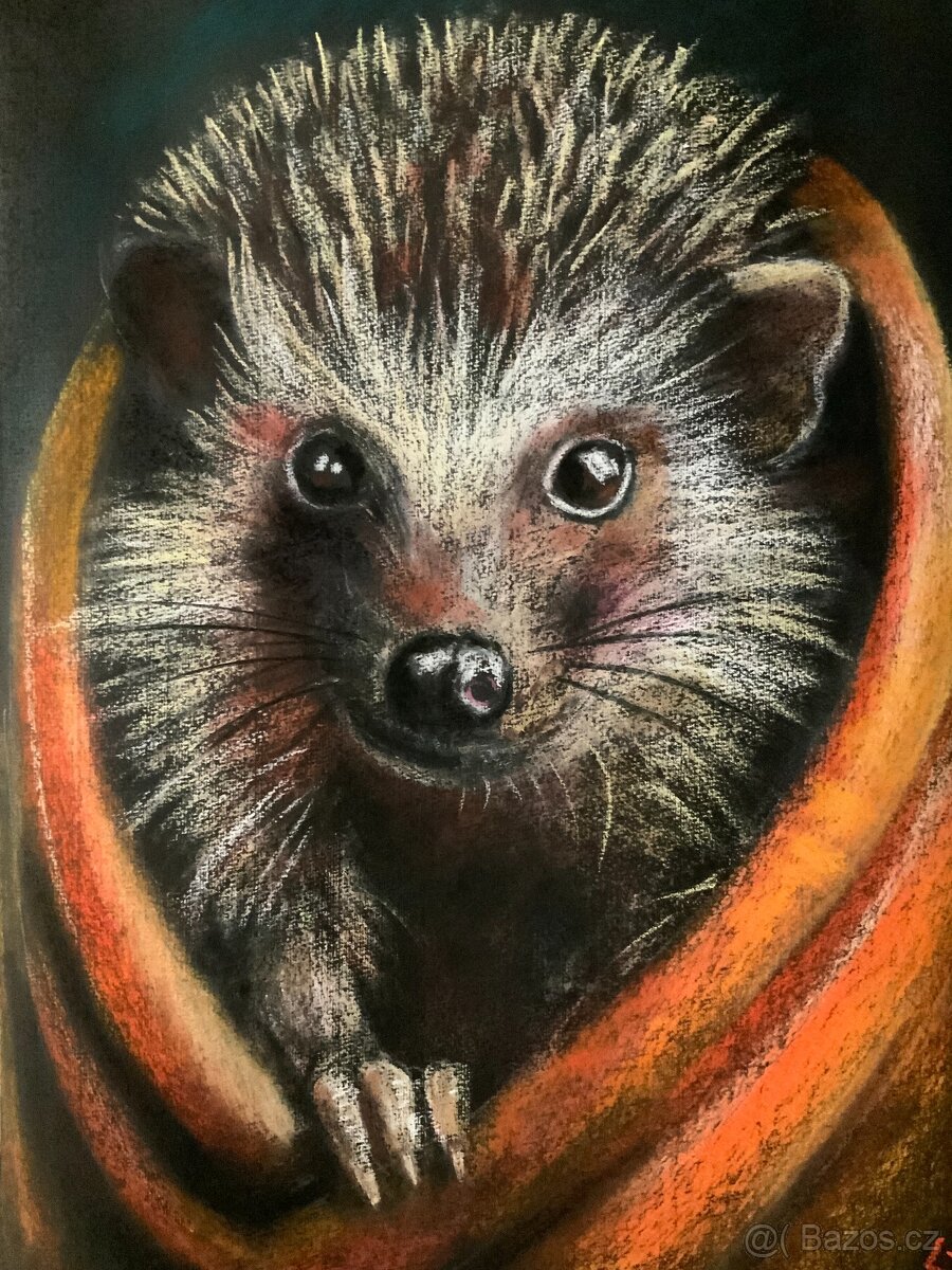 obrázky suchým pastelem - 3