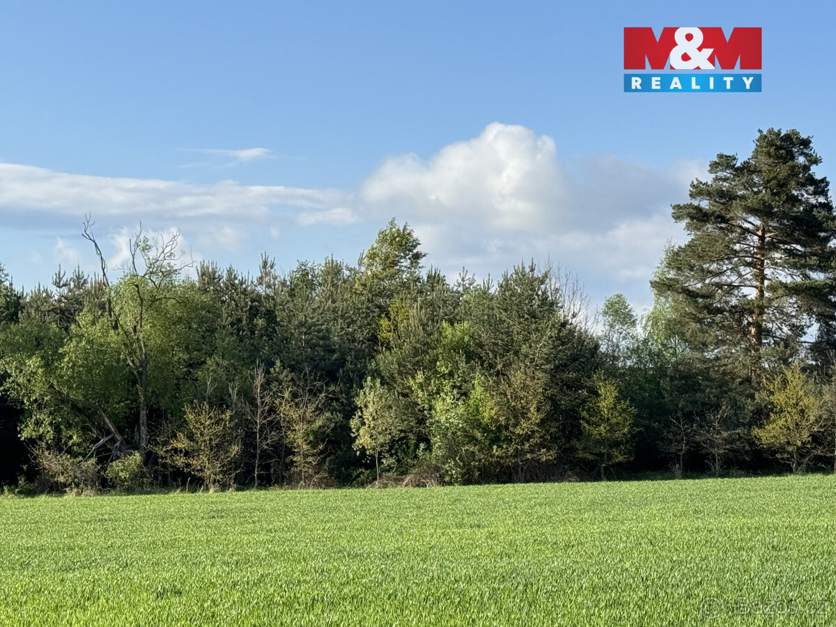 Prodej komerčního pozemku, 10254 m², Homole - 3